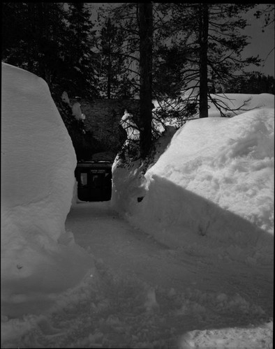 Record Heavy Snow, Record snows Lodgepole area. Visitor Center