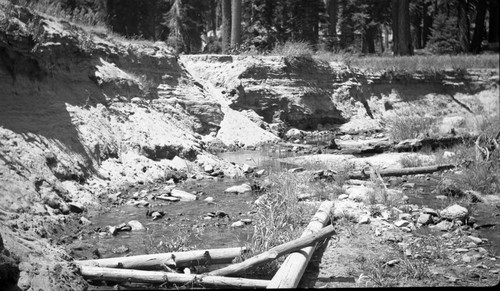 erosion in meadow. Misc. Resource Management Concerns