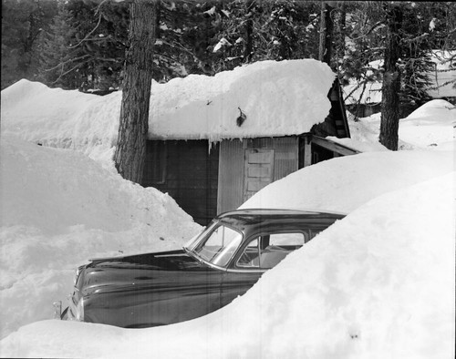 Record Heavy Snows, Lodgepole employee cabins in deep snow