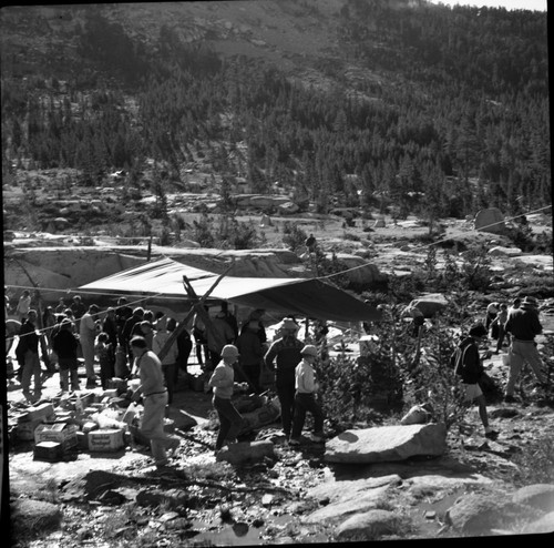 Sequoia Park, Camping, Large Backcountry Party