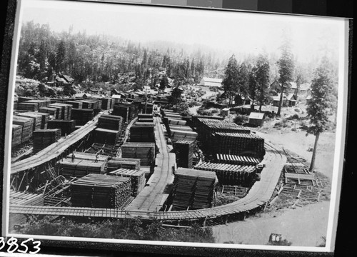 Logging, Millwood drying yard after Converse opened up. See Seki 10260 for original