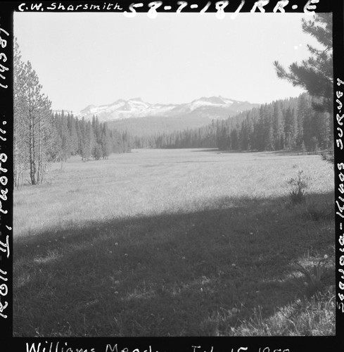 Meadow studies, permanent meadow photo plot study