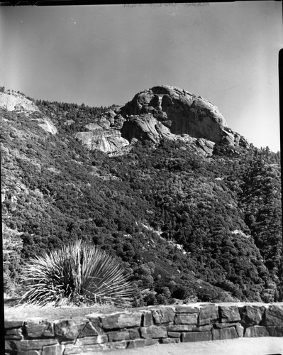 Foothill Woodland Plant Community, Moro Rock from Amphitheater Point