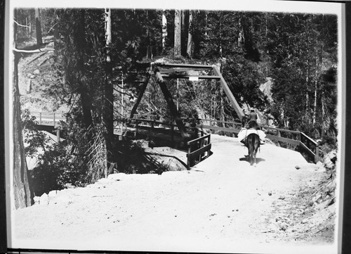 Bridges, NPS Individuals, Marble Fork Bridge with Ralph Hopping and Stock. 1905