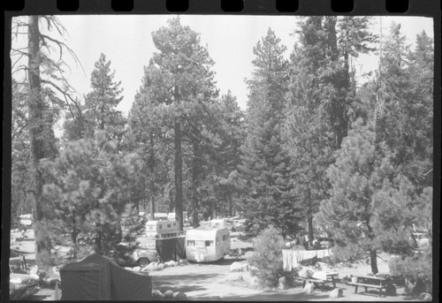 Camping, Log Bridge Campground