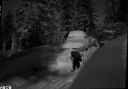 Record Heavy Snows, Critical snow conditions at Grant Grove after storm of February 4, 5, 6