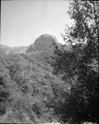 Moro Rock from Hospital Rock, Foothill Woodland Plant Community