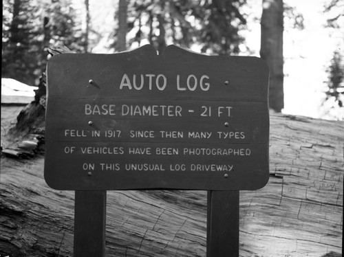 Signs, Auto Log sign