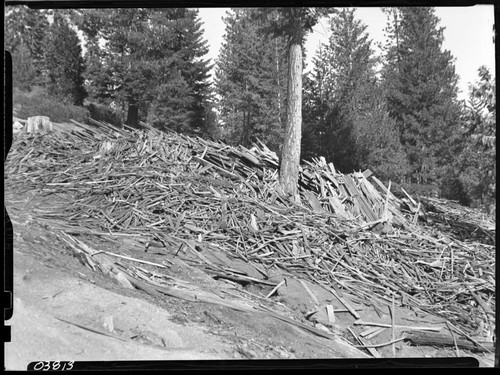 Logging, Atwell Mill slash pile