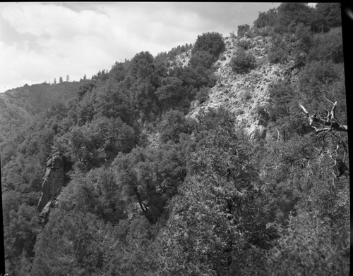 Crystal Cave, Cave is located at base of marble formation in lower left corner of photo. Foothill Woodland Plant Community - canyonside