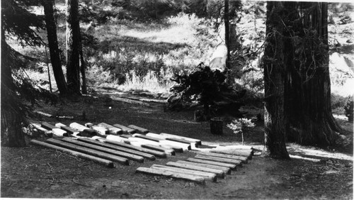 Buildings and Utilities, Church of the Sequoias