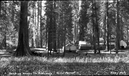 Camping, Early camping scenes