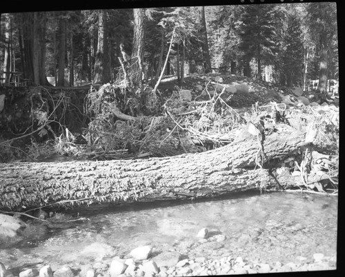 Floods and Storm Damage, Flood damage to campground following 7.1 inches of rain September 4 and 5