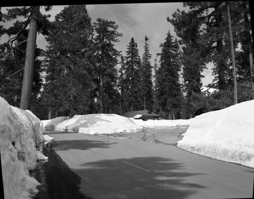 Winter Scenes, Grant Village in snow. Concessioner Facilities. Roads