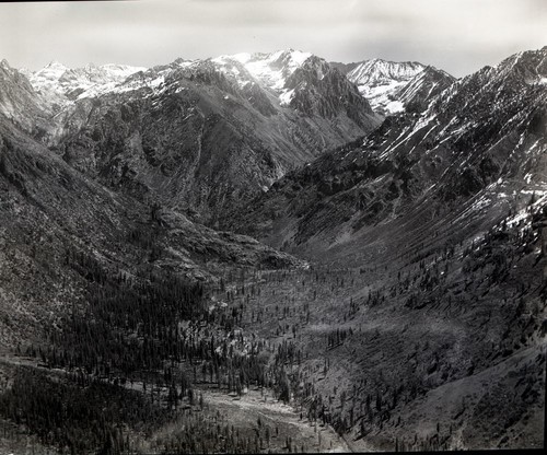 Junction of South and Middle Forks of the Kings River