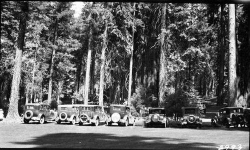 Vehicular Use, old cars at Bear Hill