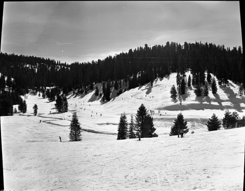 Skiing, Intermediate Hill