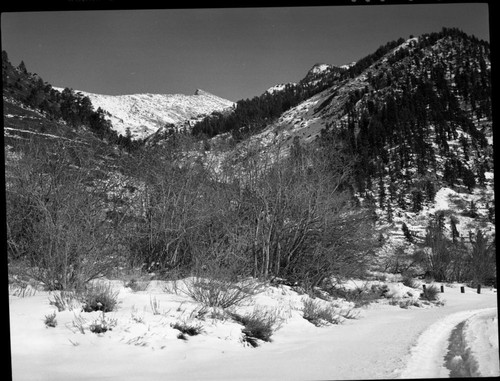 Mineral King Valley, in snow. Winter Scenes, Sawtooth Peak