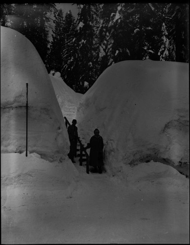 Record Heavy Snows, Giant Forest Village in deep snow