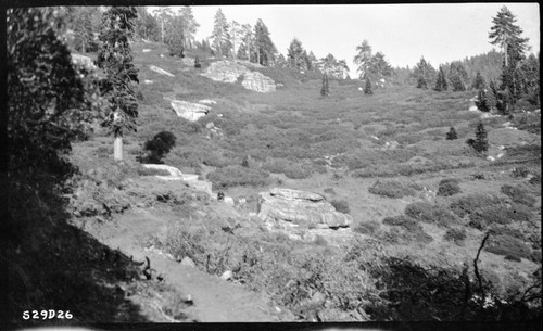 Montane Chaparral, Trails, trail through outcropping of granite slabs, station 373 looking up the trail