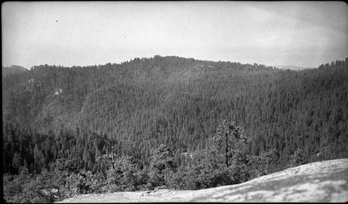 Mixed Conifer Forest Plant Community, view SE, Plant Community, Marble Fork Kaweah River Canyon, Type Map