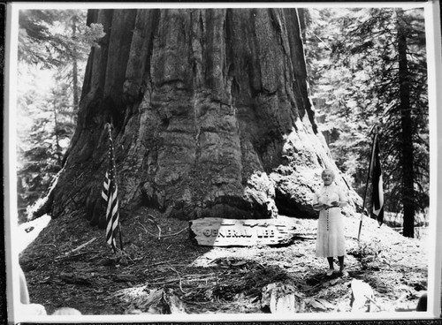 Dedications and Ceremonies, dedication of General Lee Tree, conducted by United Daughters of the Confederacy