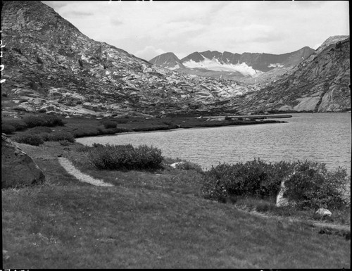 Meadow studies, Evolution Lake, permanent meadow photo plot study