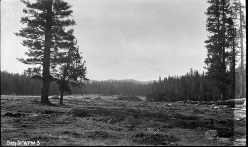 Hockett meadow looking south, subalpine meadow, plant community, Misc. resources and management concerns