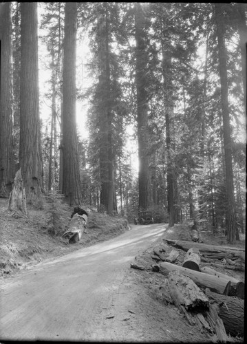 Generals Highway at Four Gaurdsman before by-pass constructed. Vehicular use