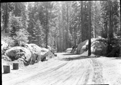 early Generals Highway near Giant Forest Lodge