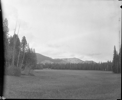 Misc. Meadows, Sky Parlor Meadow, looking south