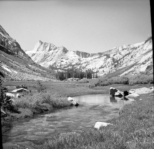 Misc. Meadows, Ranger Meadow. Misc. Peaks, Big Bird Peak