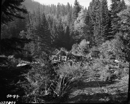 Dillwood, Logging, Ruins of Old Dillon Mill