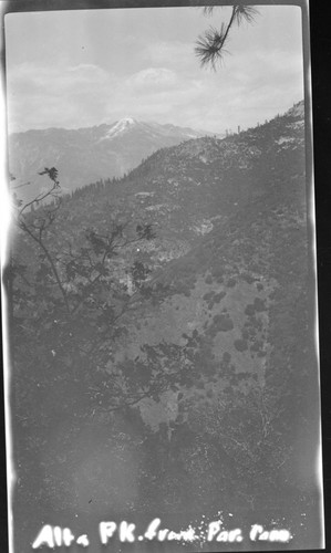 Alta Peak from Paradise Creek Trail