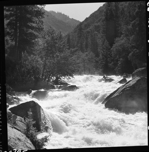 South Fork Kings River, high water