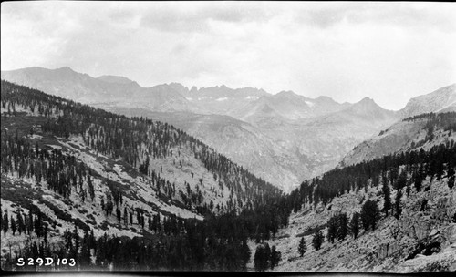 High Sierra Trail Investigation, looking back down Wallace Creek from elevation 10,300. Glaciated Canyons, Subalpine Forest Plant Community