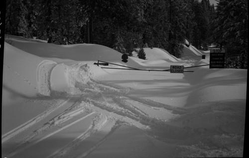 Record Heavy Snows, Critical snow conditions at Grant Grove after storm of February 4, 5, 6