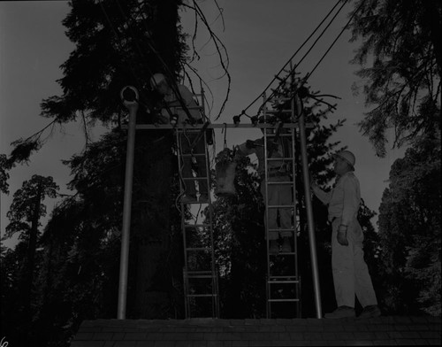 Dedications and Ceremonies, Last connections to turn electric power on at Giant Forest. Buildings and Utilities