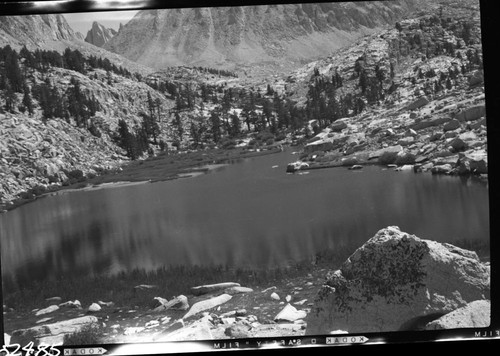 Miscellaneous Lakes, Timberline Lake. Subalpine Forest Plant Community