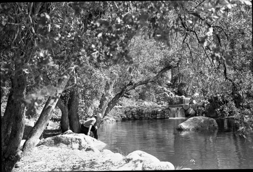 Fish, fish loading, rearing ponds, Misc. Resource Management Concerns, NPS Individuals, Nelson Culver pictured