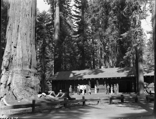 Buildings and Utilities, Giant Forest Museum