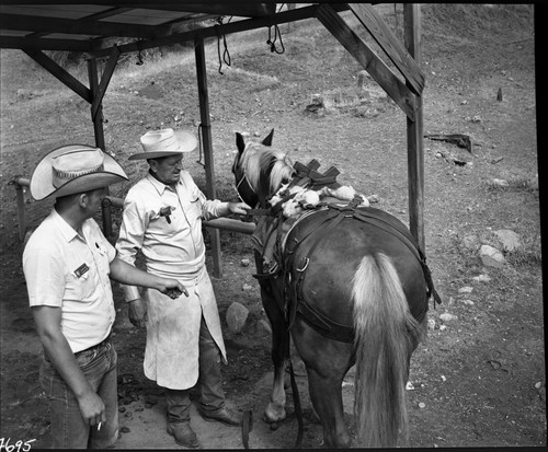 Training Activities, Stock Use, care of horses and pack stock, Jack and Troy Hall - NPS Individuals