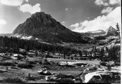 Misc. Peaks, Center Peak. Lodgepole Pine Forest Plant Community