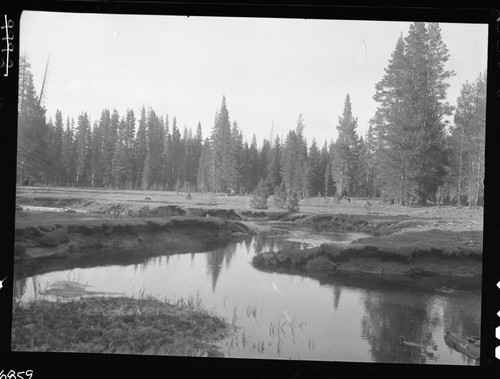 Meadow studies, grazing, stream bank erosion. remarks: Figure 52 Armstrong Report