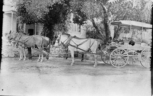 Vehicles and Equipment, William A. Swanson's Mineral King Stage at Edison Powerhouse No. 1