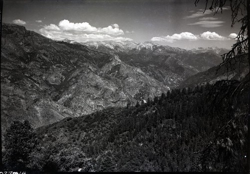 Mixed Coniferous Forest Plant Community. View up canyon