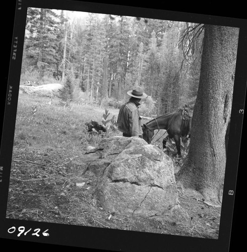 Misc. Meadows, Small meadow between Junction and Vidette