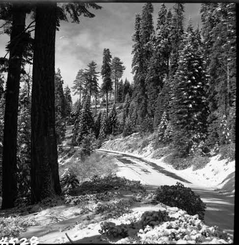 Winter Scenes, Generals Highway in snow