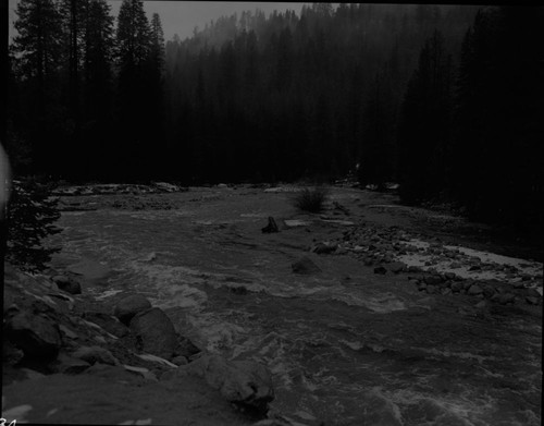 Floods and Storm Damage, High water, Marble Fork Kaweah. Lodgepole Campground area