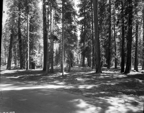 Buildings and Utilities, Section of Stony Creek Camp and picnic grounds